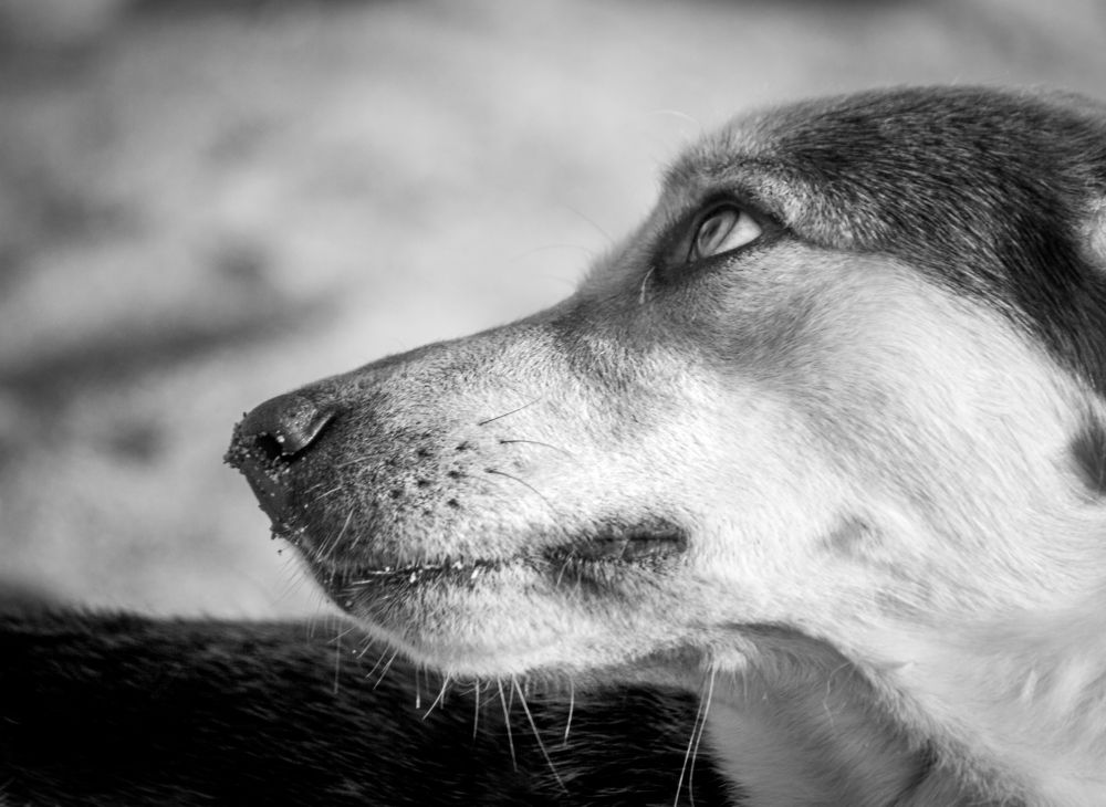 Photograph by Youness Fakoiallah