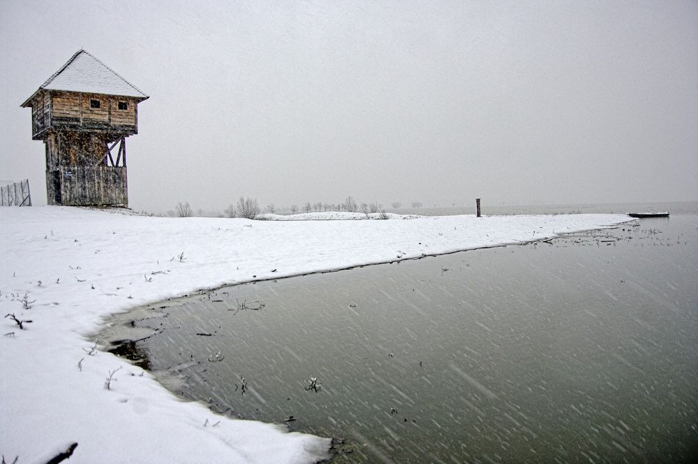 Photograph by Davor Cevizovic