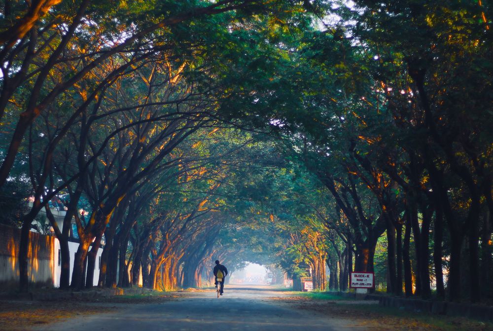 Covered with Nature