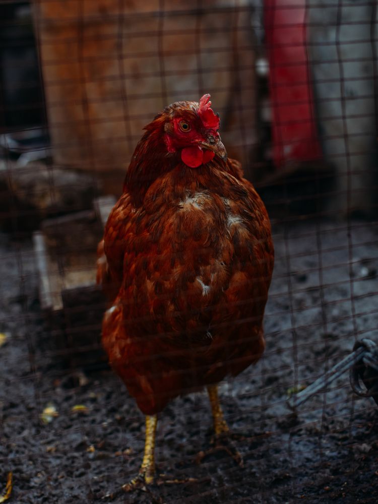 Photograph by Бедряк Юлия