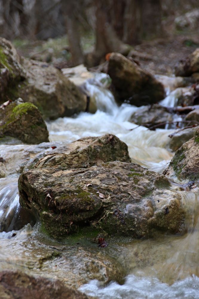 Photograph by Наталья Стальмакова