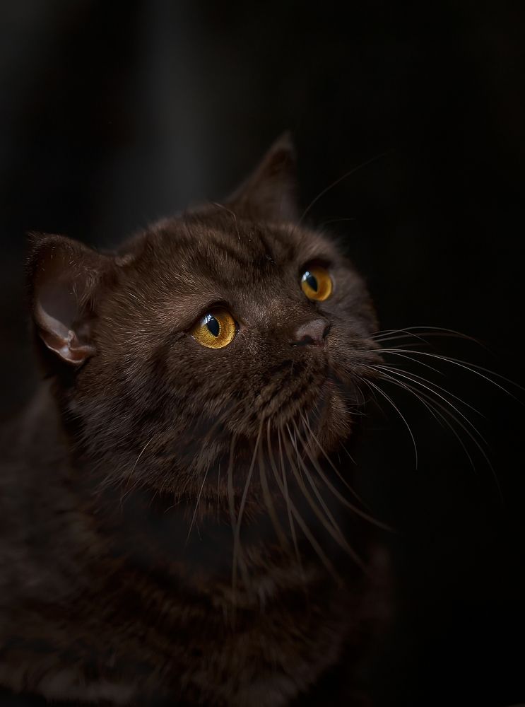 Photograph by Елена Власова