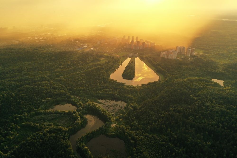 Фотография автора Serg S