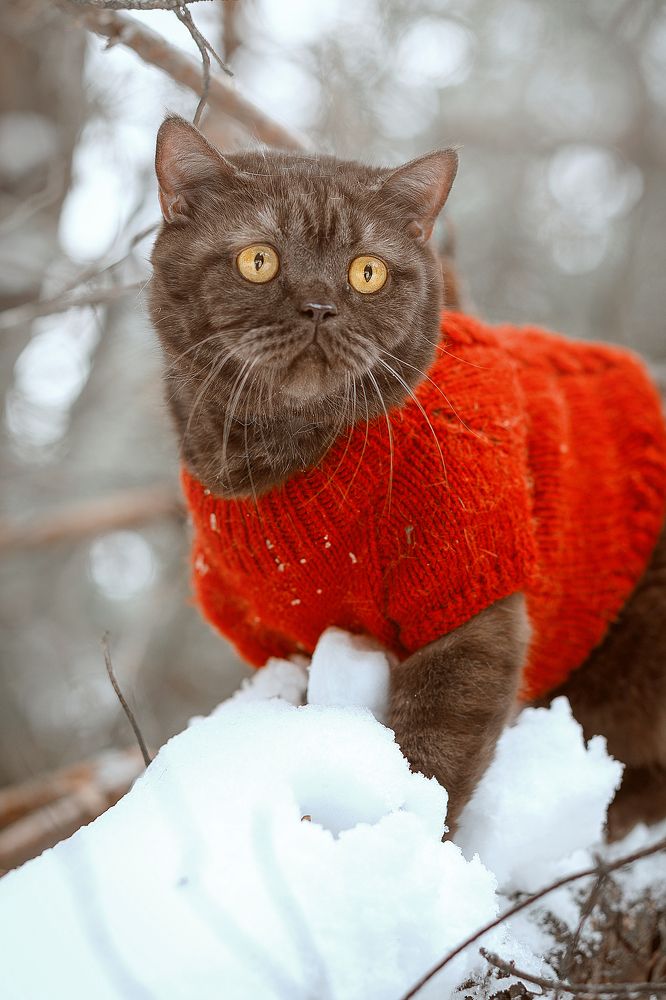 Photograph by Елена Власова