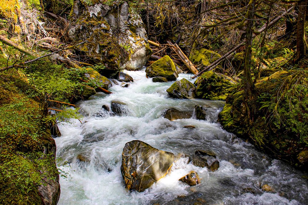 Photograph by Brandon