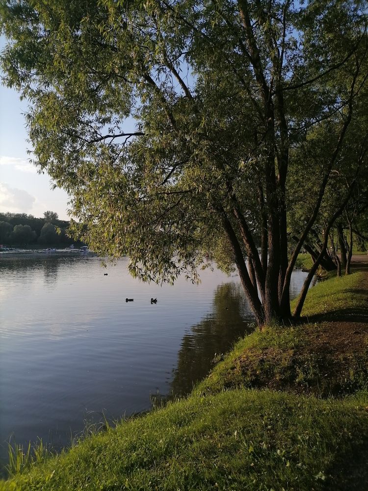 Photo #6196028