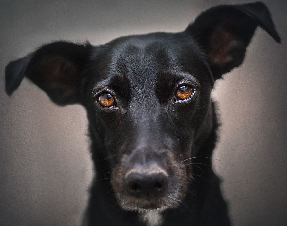 Photograph by Mónica Rumbo