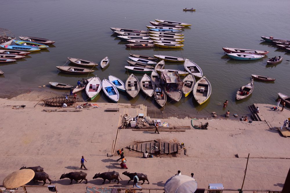 Photograph by Indranil Saha