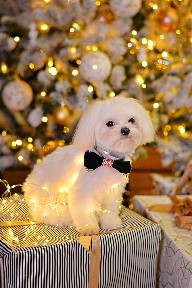 Photograph by Виктория Гарькавенко