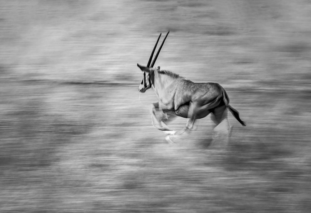 Photograph by  Sajeevkumar