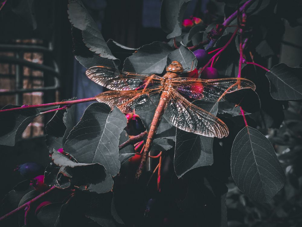 Photograph by Иван Соловьев