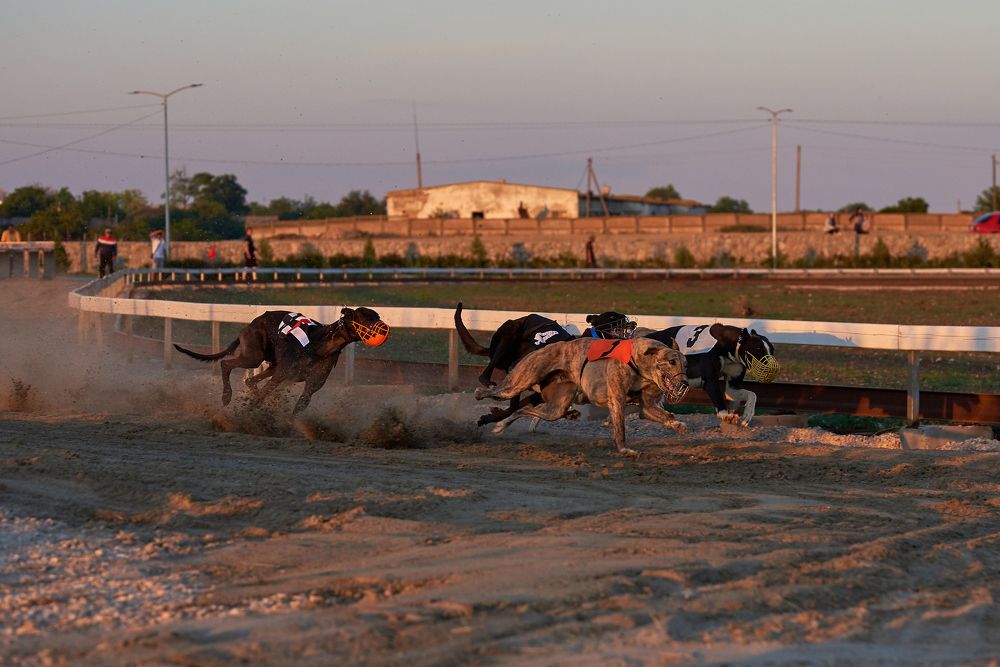 Photograph by Наталья Богач