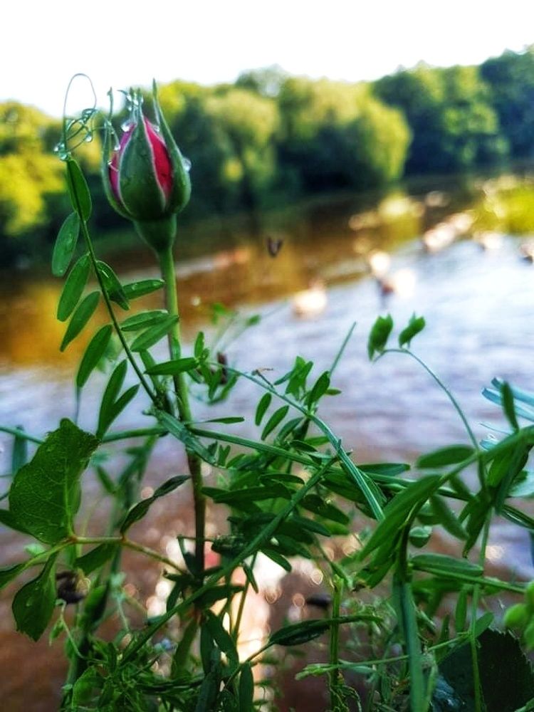 Photograph by Gabriela Meghnini