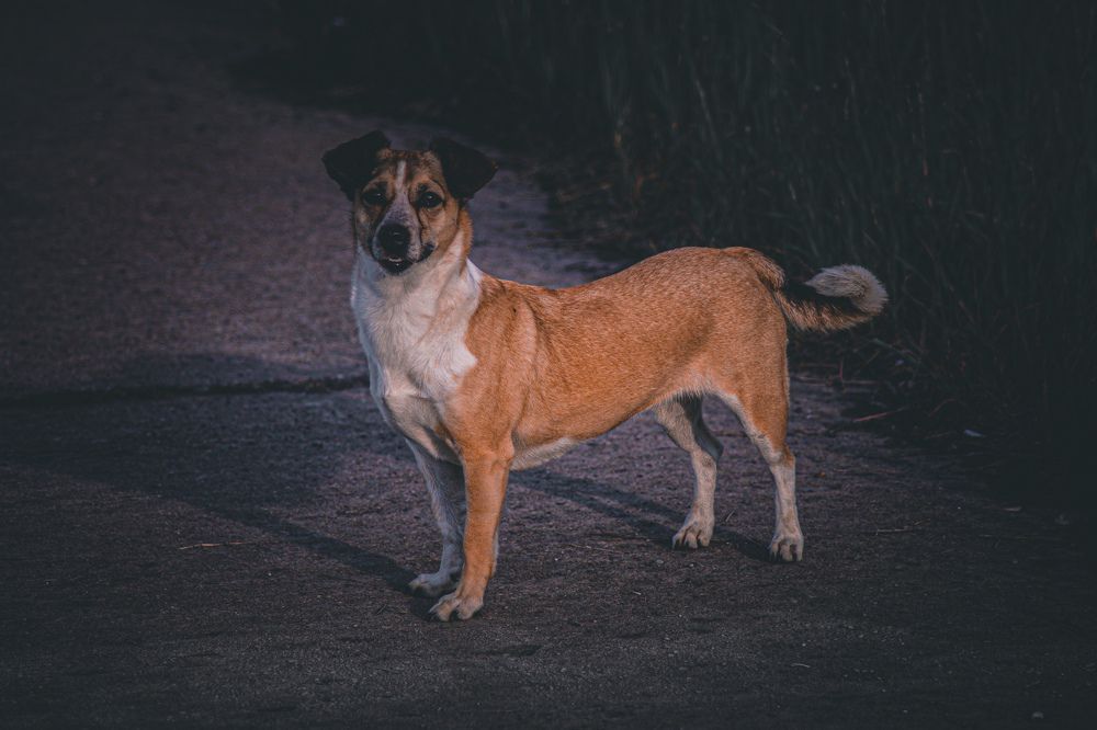 Photograph by Иван Соловьев