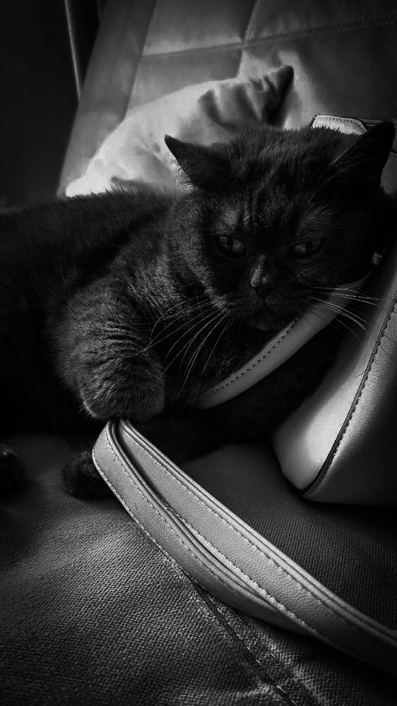 Photograph by Иван Соловьев