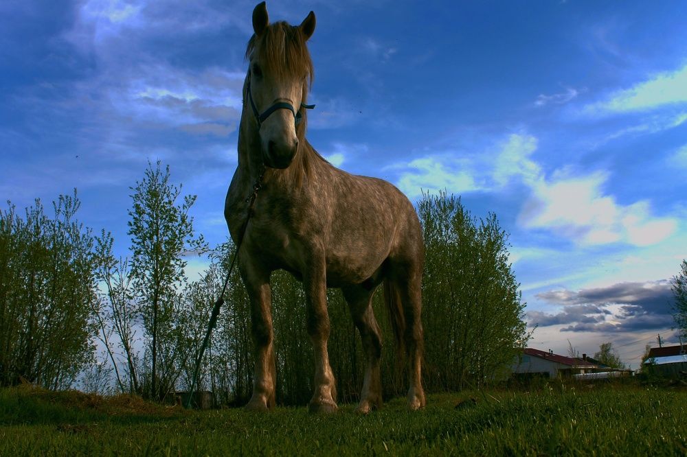 Photograph by Иван Соловьев