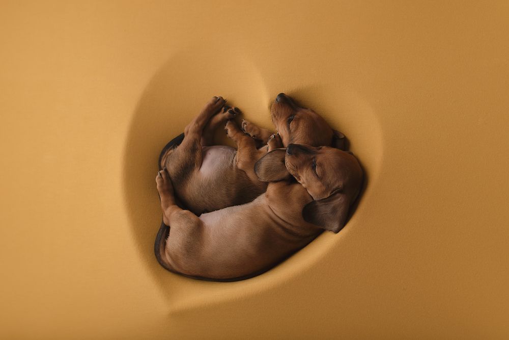 Photograph by Ольга Гладенко