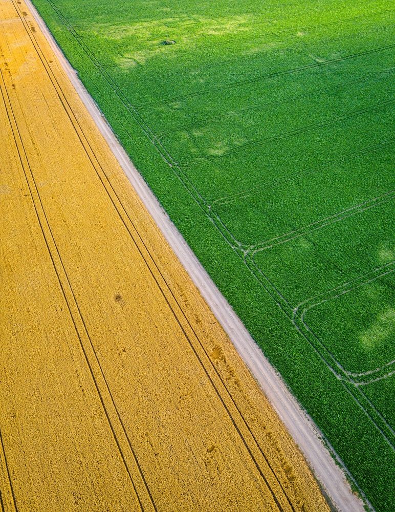 Photograph by Сергей Гук