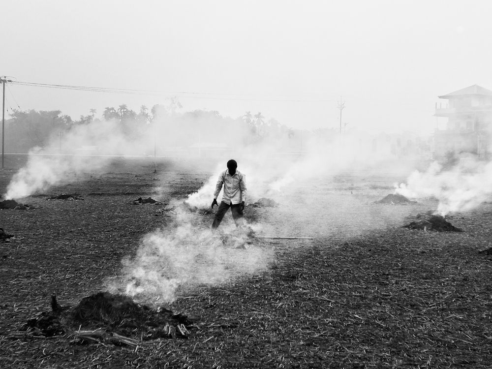 Photograph by pradiptamoy paul