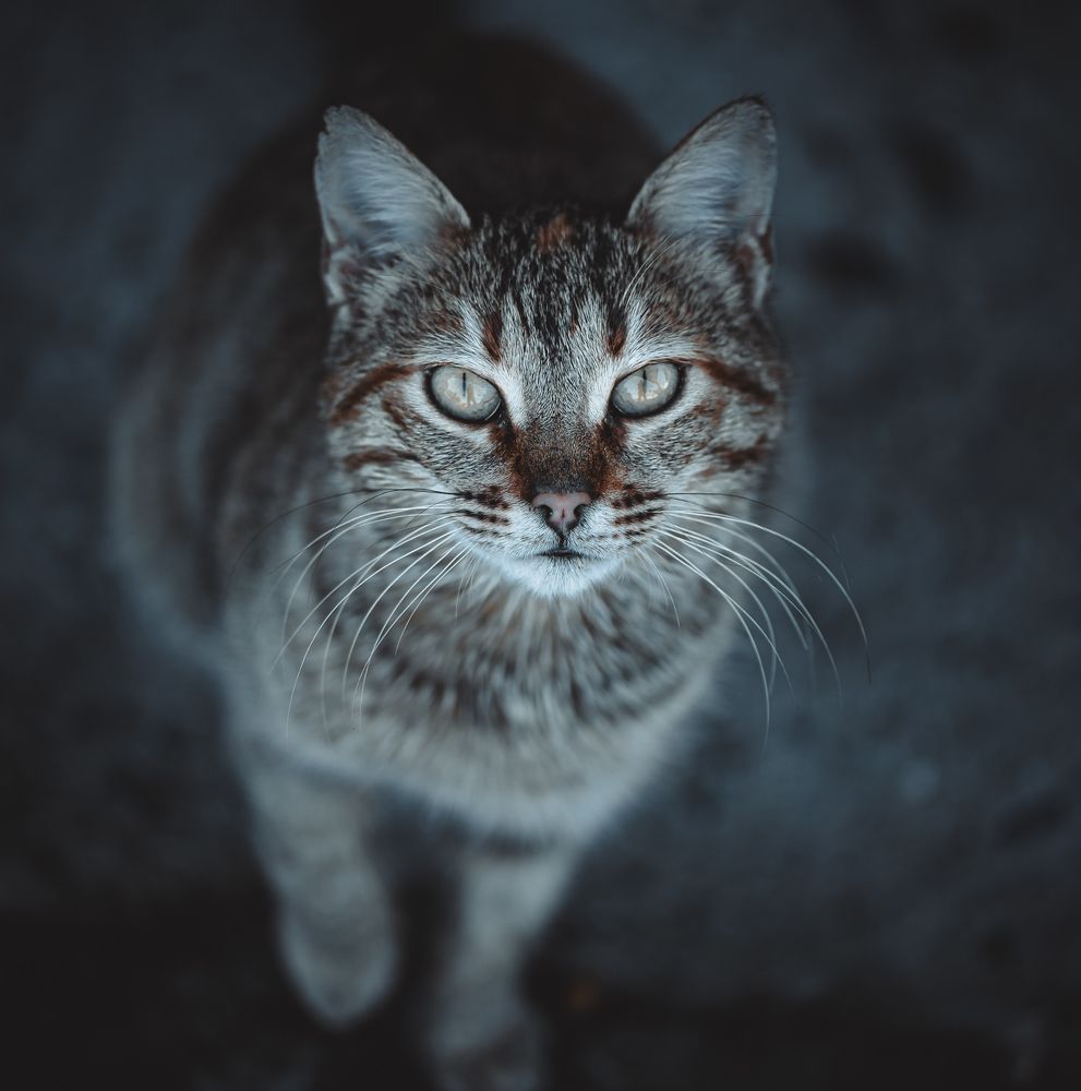 Photograph by Christos K.