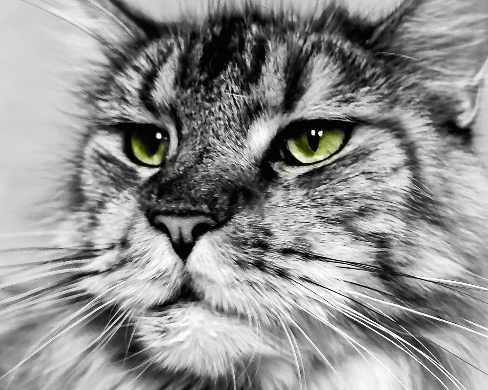 Photograph by Алеся Писнова