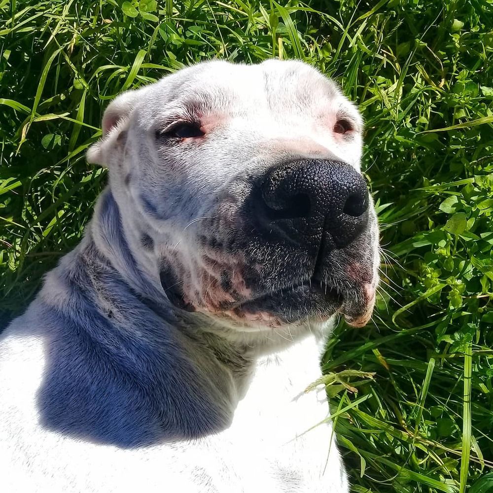 Photograph by Claudia Gadea