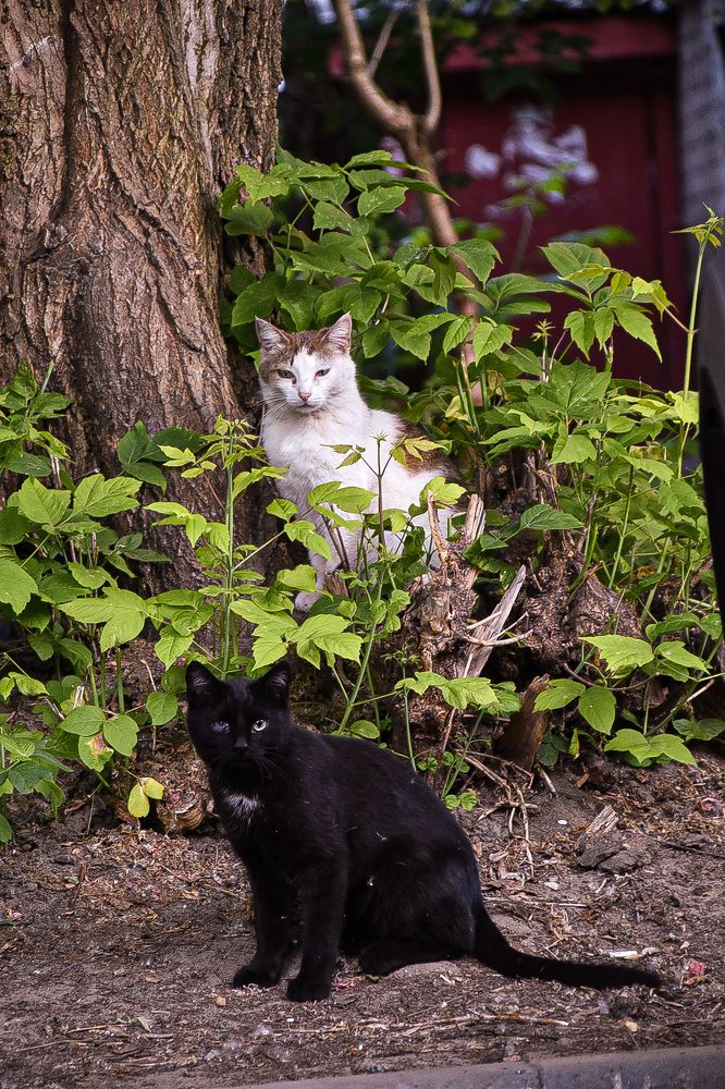 Photograph by Elvira