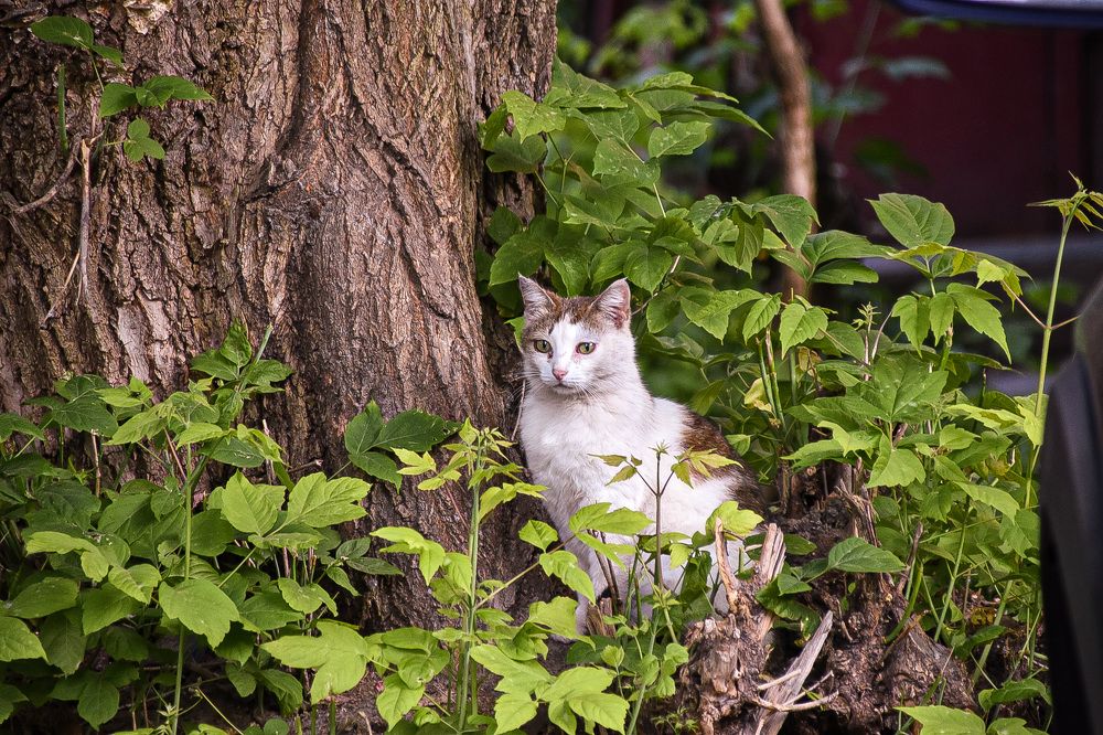 Photograph by Elvira