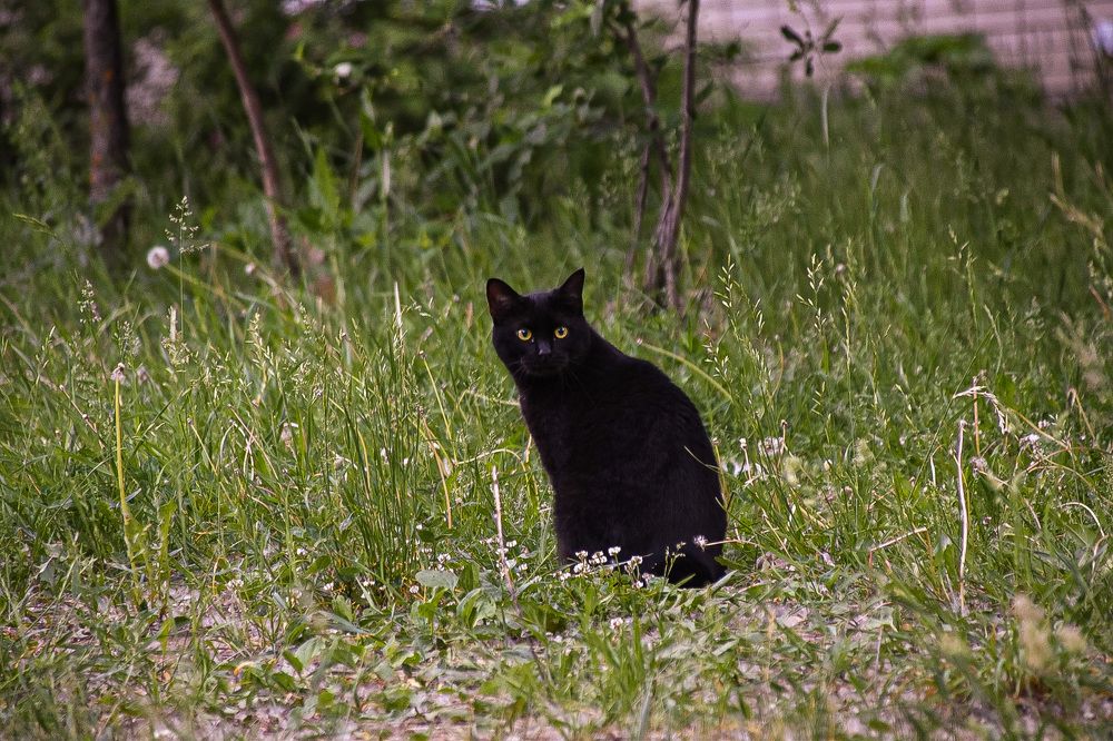 Photograph by Elvira