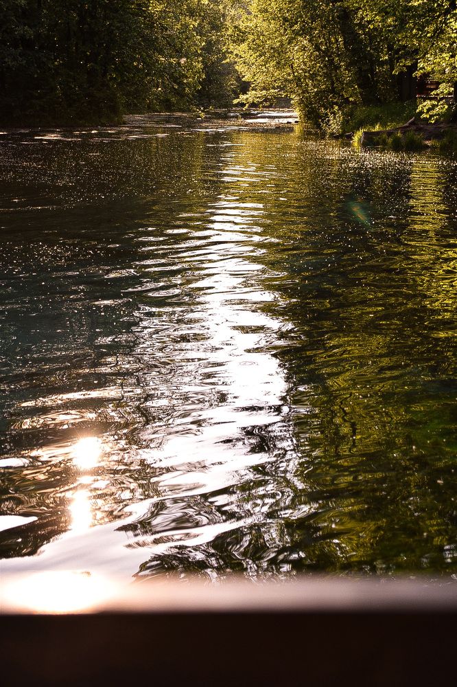 Photograph by Elvira