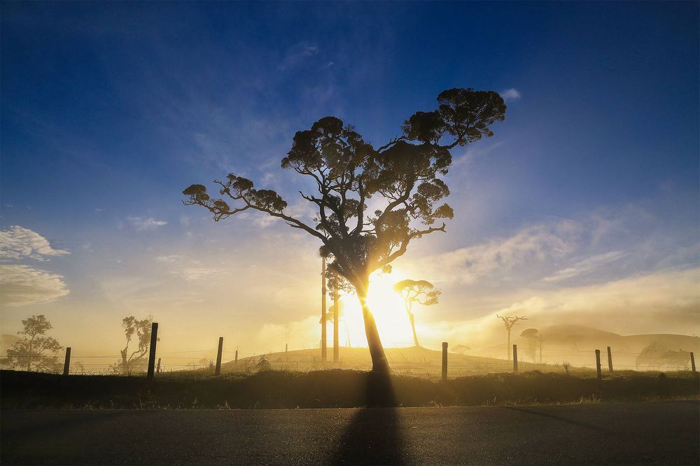 Sunrise at paradise  - Sri Lanka