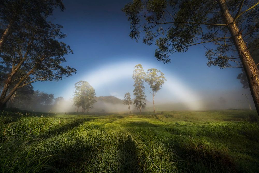 Fog bow