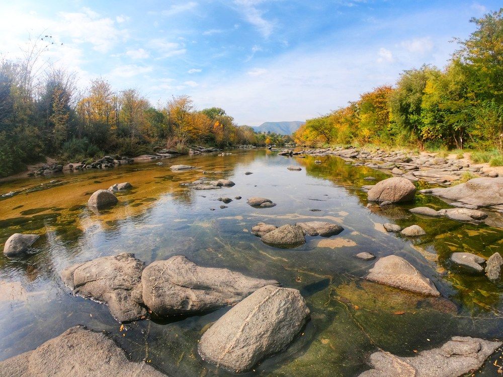 Photograph by Claudia Gadea