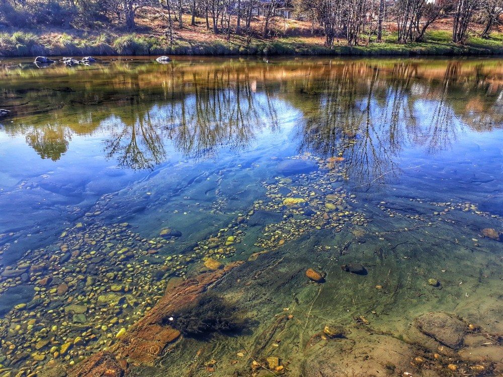 Photograph by Claudia Gadea