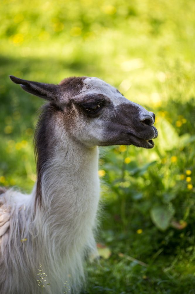 Photograph by Tatiana Kurilas