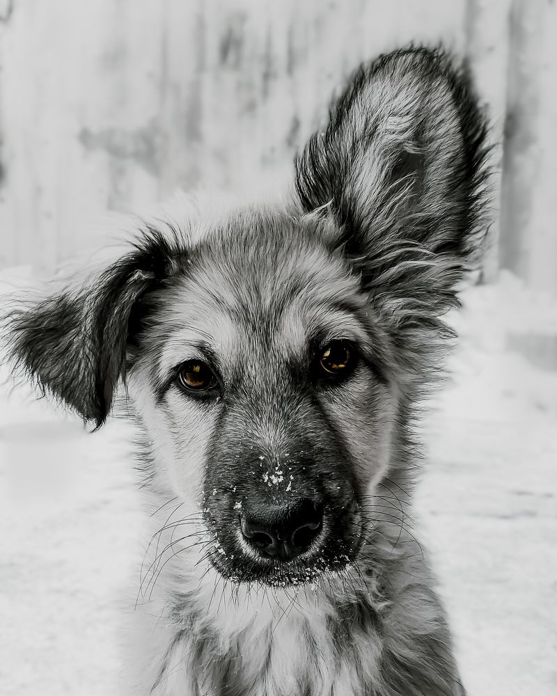 Photograph by Алеся Писнова