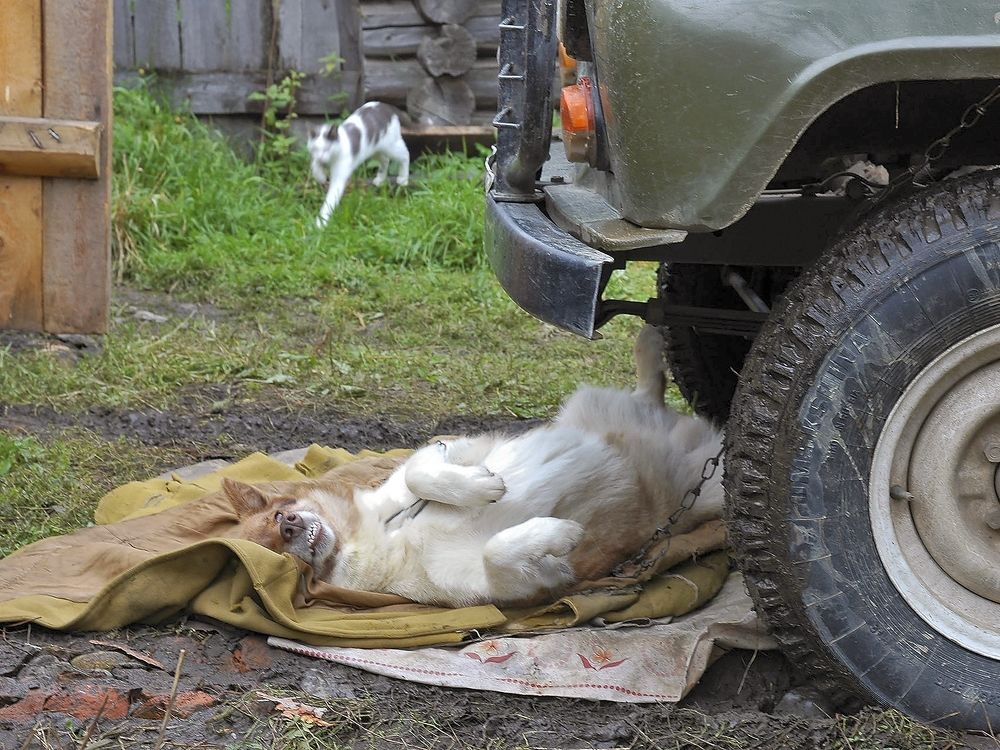 Блаженство
