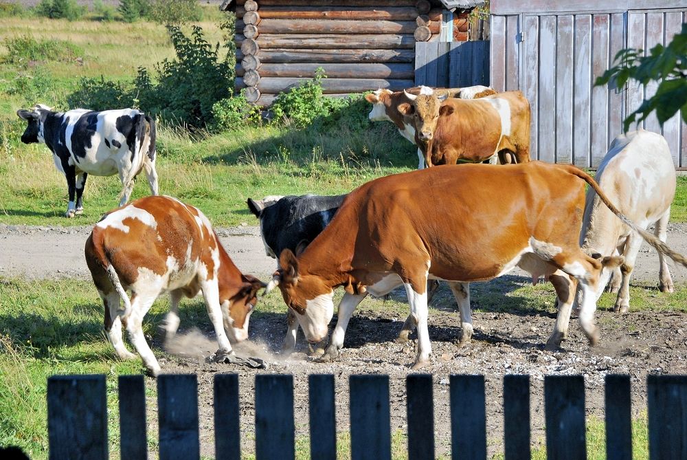 Уважай старших