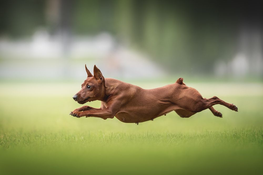 Photograph by Людмила Богуш