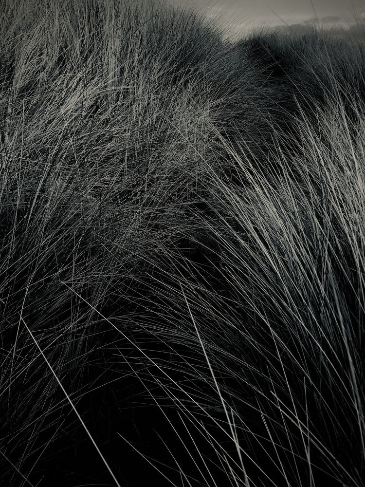 Photograph by Svjatoslavs Andrijevskis