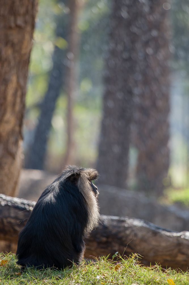 Photograph by Abhishek Sriramula