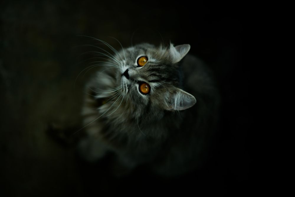 Photograph by Sanket Gudashi