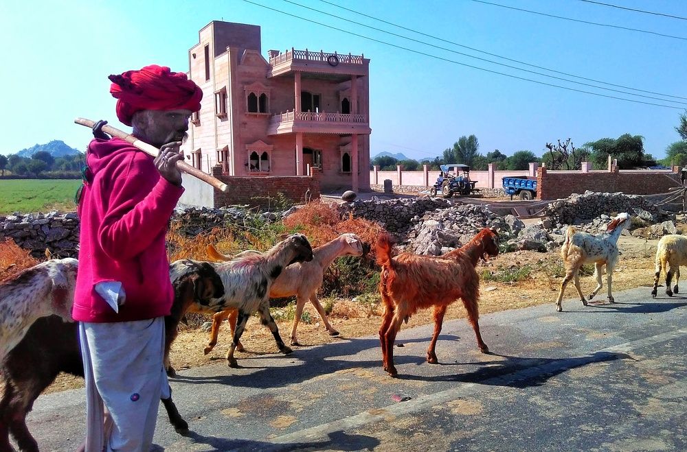 Photograph by Jasraj Jain