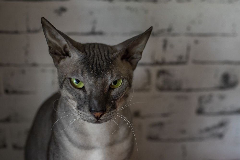 Photograph by Лариса Жолнер