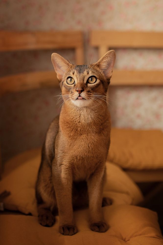 Photograph by Лариса Жолнер