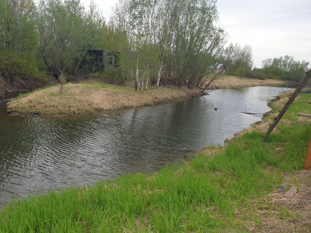 Photograph by Олеся Вахитова