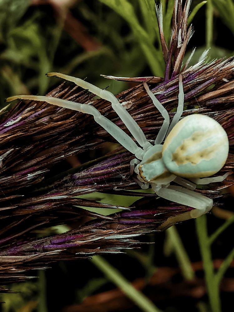 Фотография автора Олег Данилевский