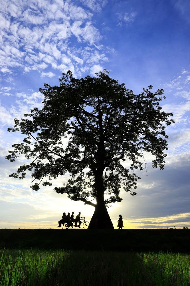 Photograph by Tomal Das