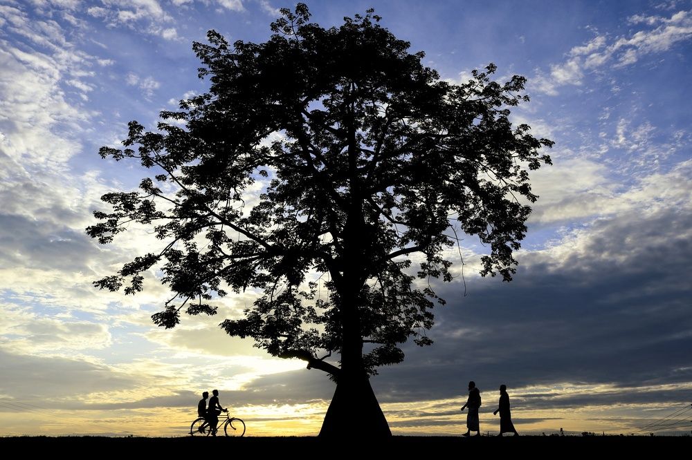 Photograph by Tomal Das