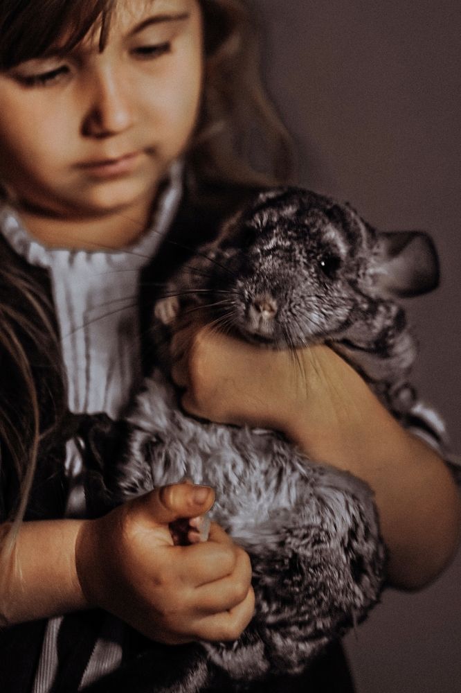 Photograph by Светлана Стрижакова